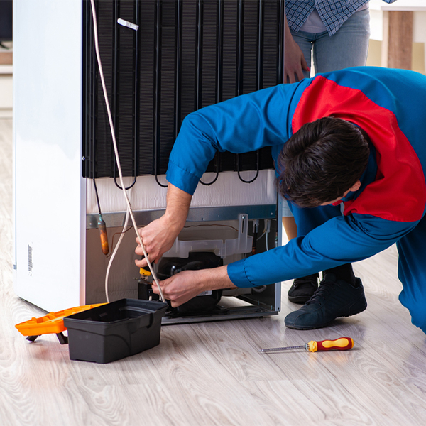 what are the common refrigerator repair services in Township Of Washington